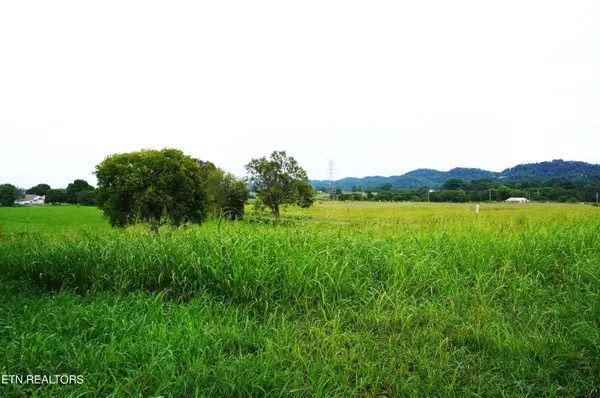 Lot 2 Mt. Horeb Road, Jefferson City, TN 37760