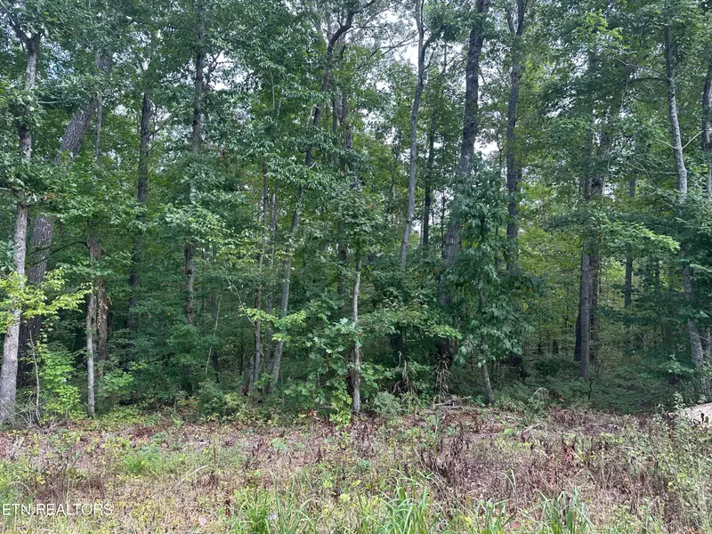 116 Chickasaw DR, Crossville, TN 38572