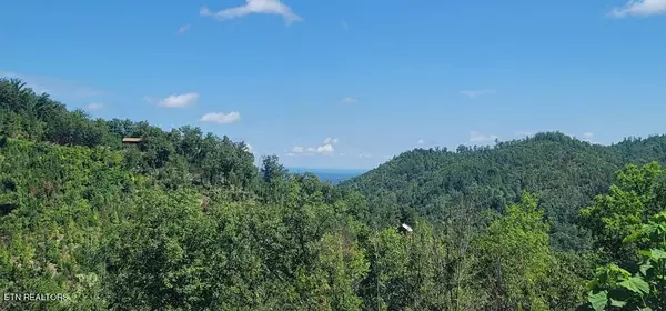 Sevierville, TN 37876,Lot 185 Windy Ln