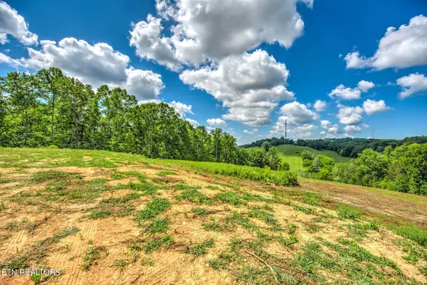 Maynardville, TN 37807,Lot 2 Hubbs Grove Rd
