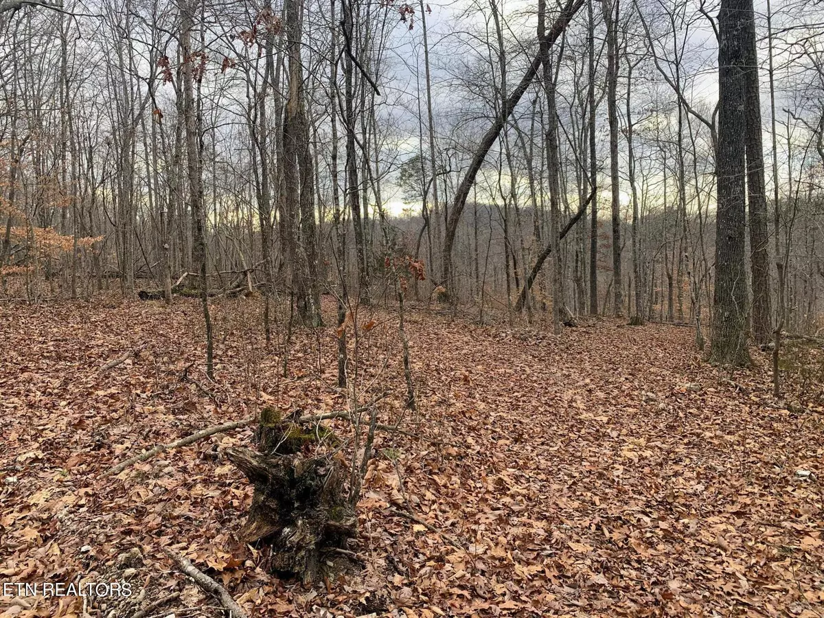 Sharps Chapel, TN 37866,620 Big Sinks Rd