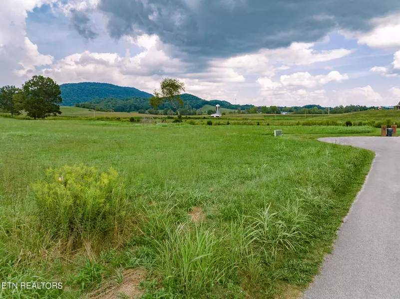 Dove LN, Speedwell, TN 37870