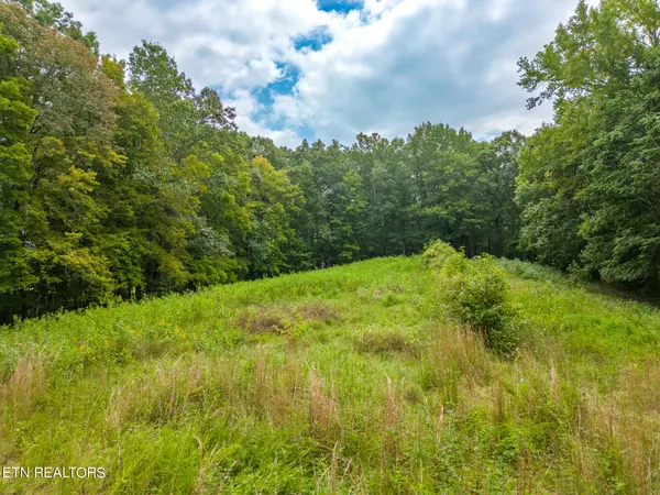 Sparta, TN 38583,4.8 AC Wade Rd