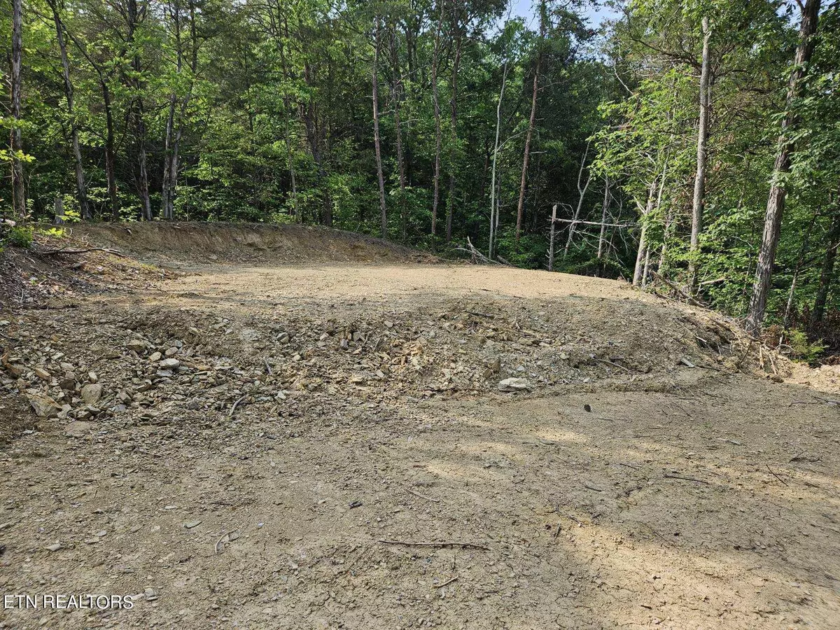 Dandridge, TN 37725,Lot 57 Bootbluff