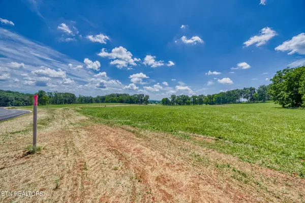 Greenback, TN 37742,Lot18 1004 Sophie DR