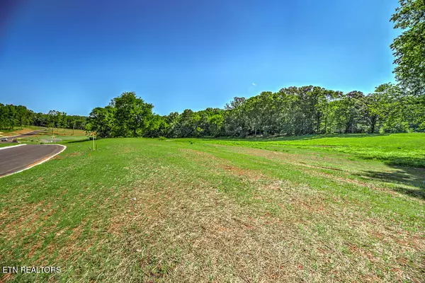 Greenback, TN 37742,Lot18 1004 Sophie DR