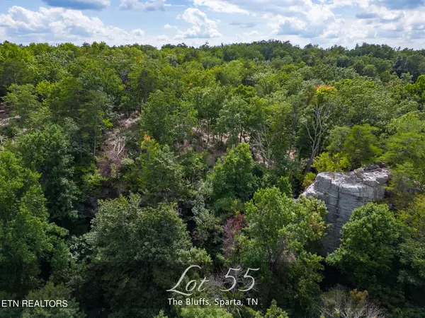 Sparta, TN 38583,Lot 55 The Bluffs @ Rocky Ridge