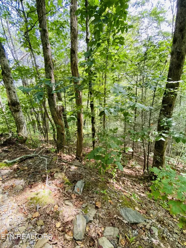 Sevierville, TN 37862,Lot 18 Meadow View Rd