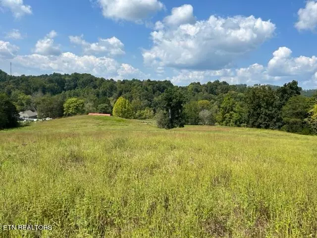 Timber Ridge DR, Maynardville, TN 37807