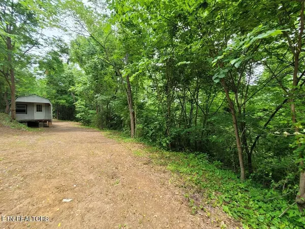 Del Rio, TN 37727,1460 Neddy Mountain Rd