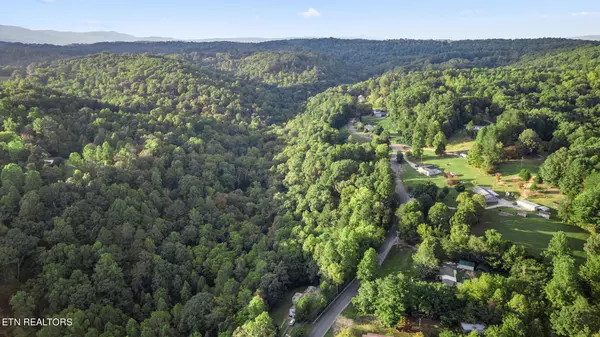 Rocky Top, TN 37769,Lot 1R Whitaker Hollow Rd