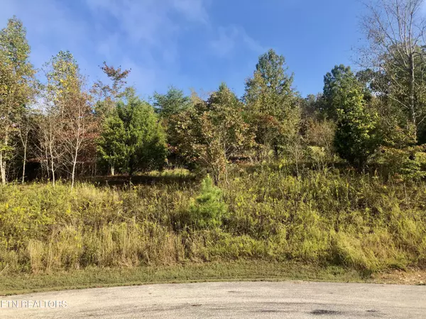 Rockwood, TN 37854,213 Emerald LN