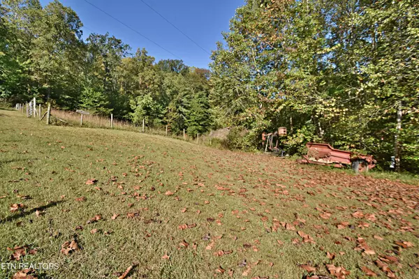 Helenwood, TN 37755,Low Gap Rd