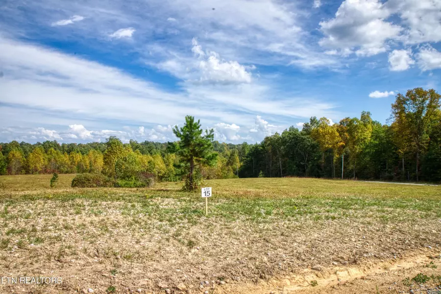 Lot 15 Old Mount Helen Rd, Allardt, TN 38504