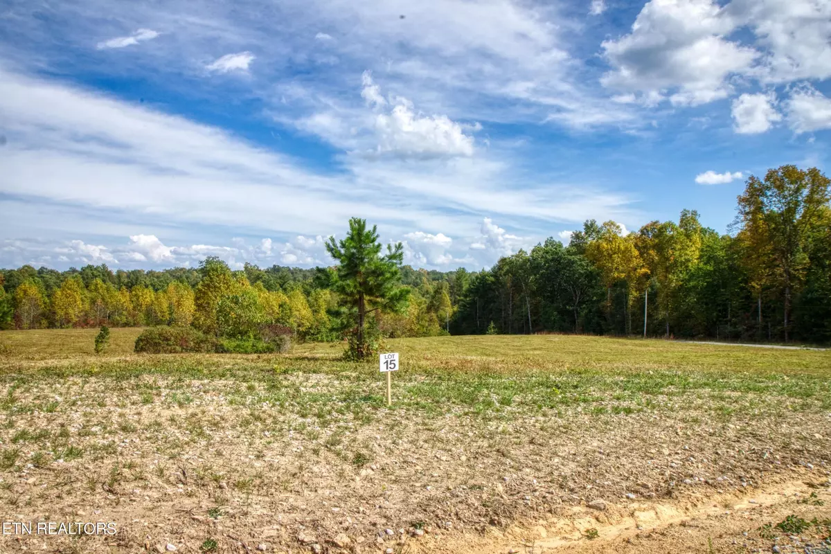 Allardt, TN 38504,Lot 15 Old Mount Helen Rd