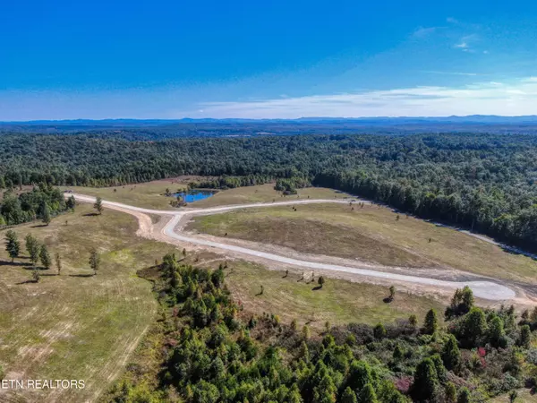 Allardt, TN 38504,Lot 20 Old Mount Helen Rd