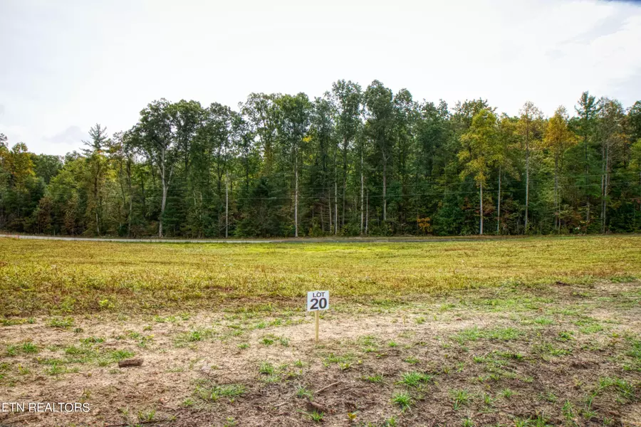 Lot 20 Old Mount Helen Rd, Allardt, TN 38504