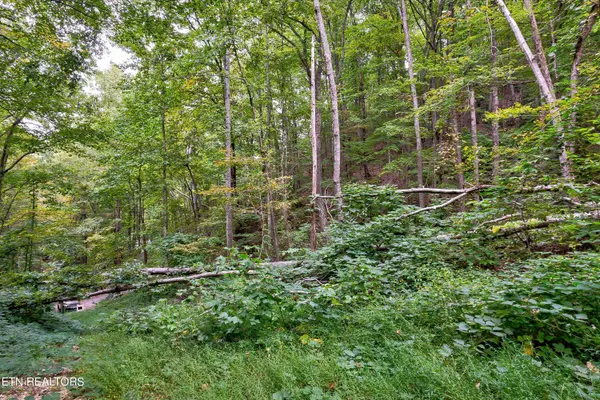 Sevierville, TN 37862,Lot 3 Balsam Slopes Rd