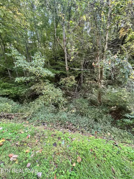 Lot 707A School House Gap Rd, Sevierville, TN 37876