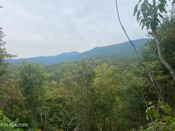 Del Rio, TN 37727,1570 Meadow Fields