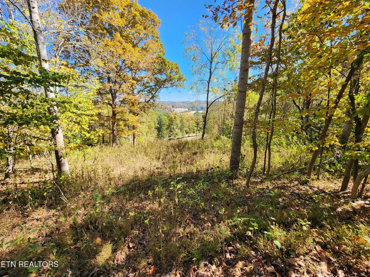 Lafollette, TN 37766,Lot 7 Par View Ln