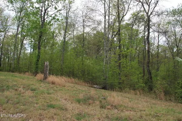 Lafollette, TN 37766,Lot 570 Two Rivers LN