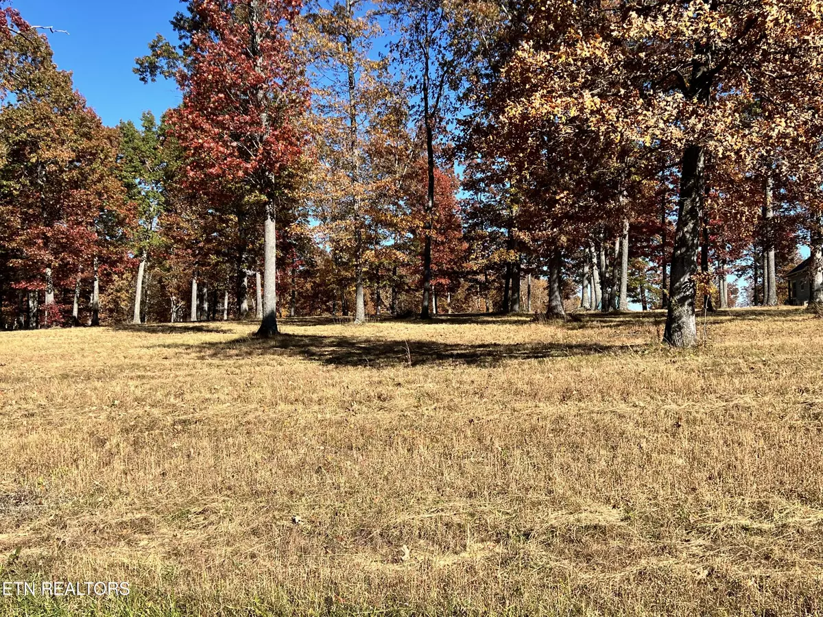 Crossville, TN 38571,Lot 29 Bluff View LOOP