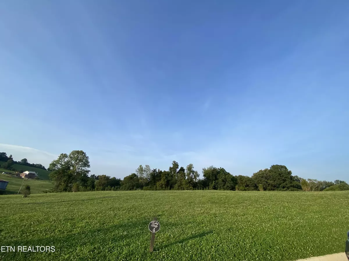 Piney Flats, TN 37686,Lot 4 Turkey Ridge Lane