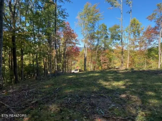 Sevierville, TN 37862,Lot 7-C&D Bench Mtn WAY