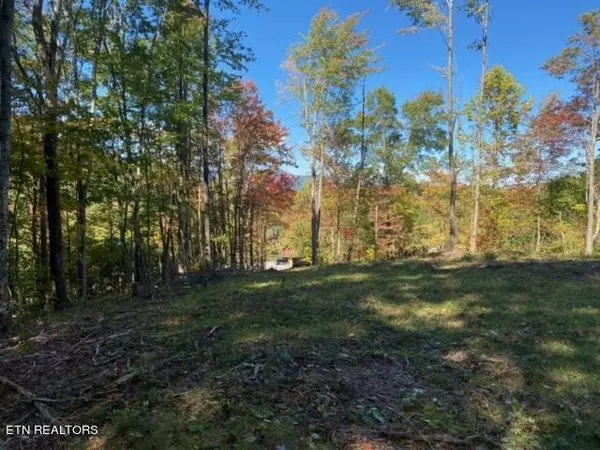 Lot 7-C&D Bench Mtn WAY, Sevierville, TN 37862