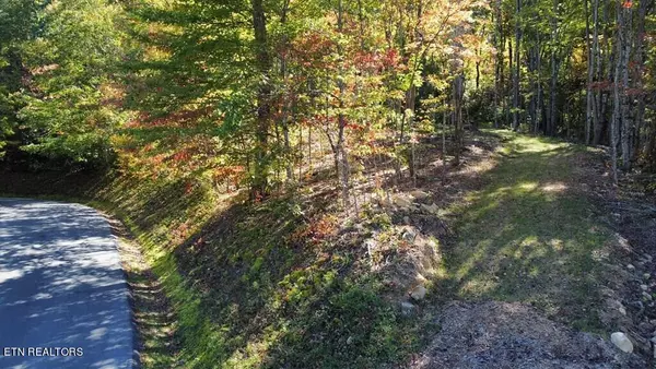 Sevierville, TN 37862,Lot 7-C&D Bench Mtn WAY