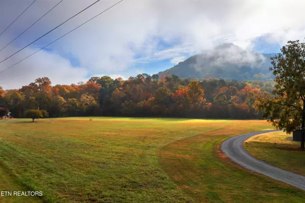 Sevierville, TN 37876,Lot 6A S Arch Rock Dr