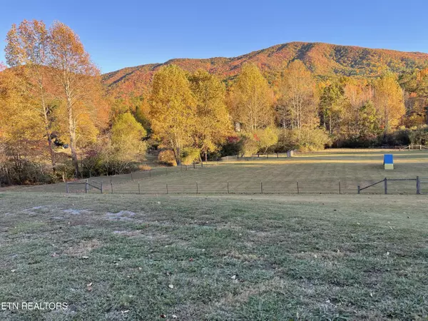 Tellico Plains, TN 37385,Smithfield Rd