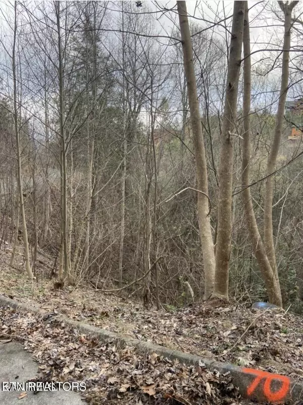 Lot #70 Smoky Ridge Way, Sevierville, TN 37862