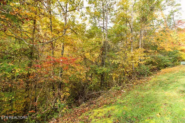 Sevierville, TN 37876,Lot 85 Smoky Cove Rd