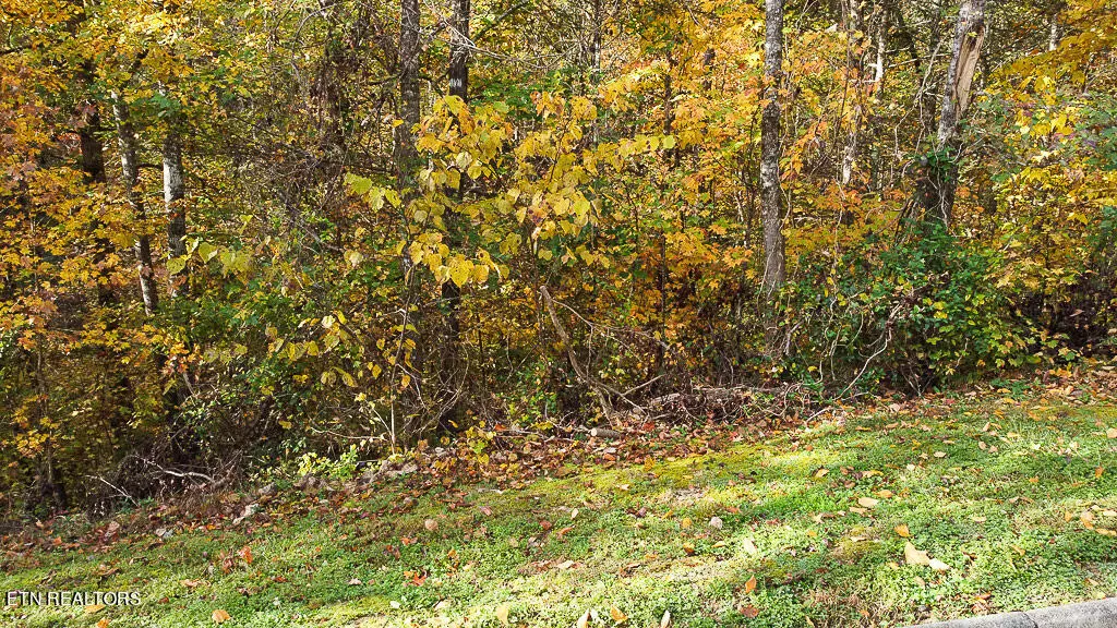 Sevierville, TN 37876,Lot 85 Smoky Cove Rd