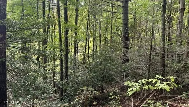 389 Faith Mountain WAY, Hartford, TN 37753