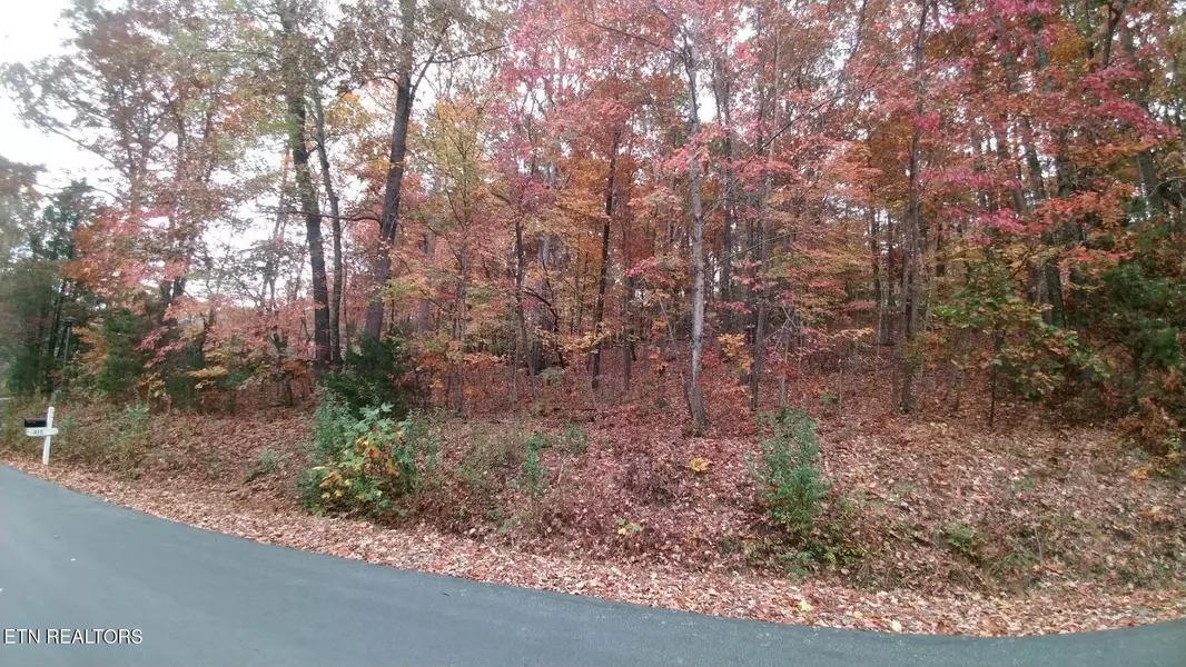 213 Oostanali WAY, Loudon, TN 37774