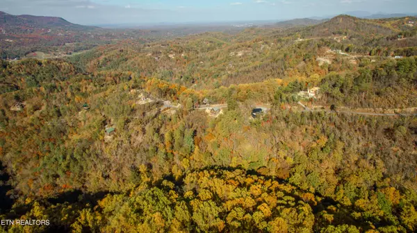 Sevierville, TN 37862,Lot 10 Shagbark Hickory