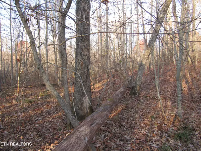 4.2ac Arrow Trail, Monterey, TN 38574