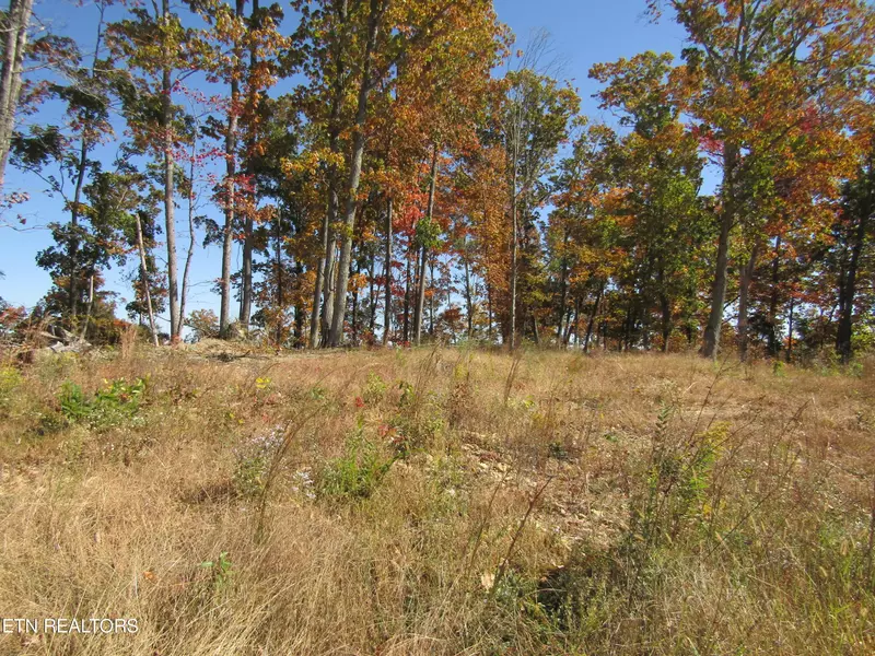 20.50 ac Old Hwy 52 West Loop, Celina, TN 38551