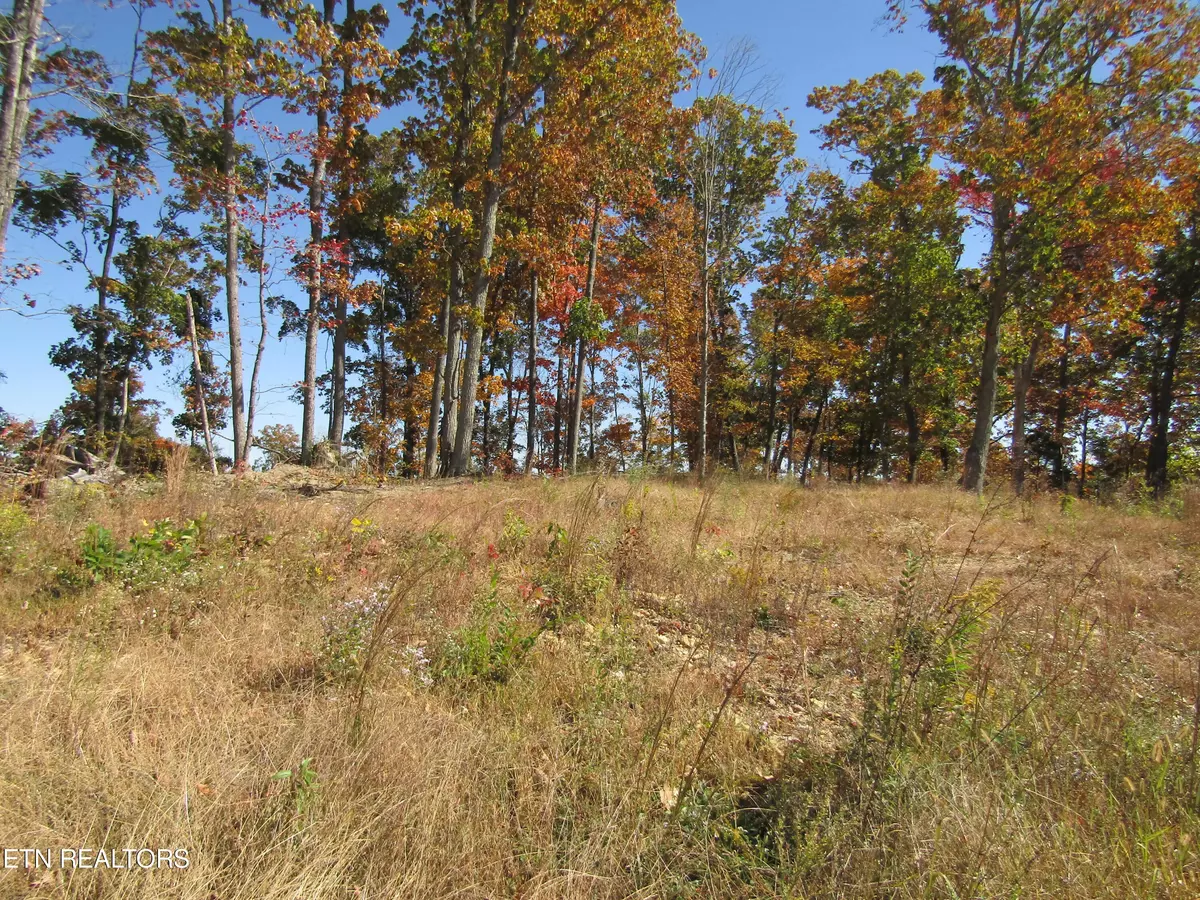 Celina, TN 38551,20.50 ac Old Hwy 52 West Loop