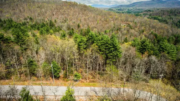 Harriman, TN 37748,Green Ridge Trail - Lot #2