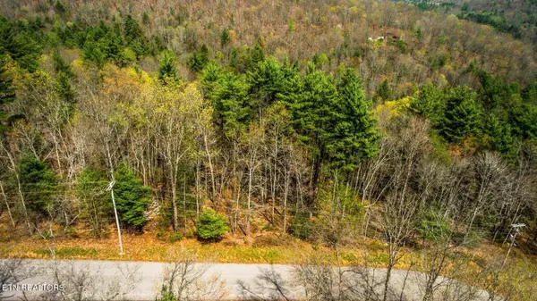 Harriman, TN 37748,Green Ridge Trail - Lot #2