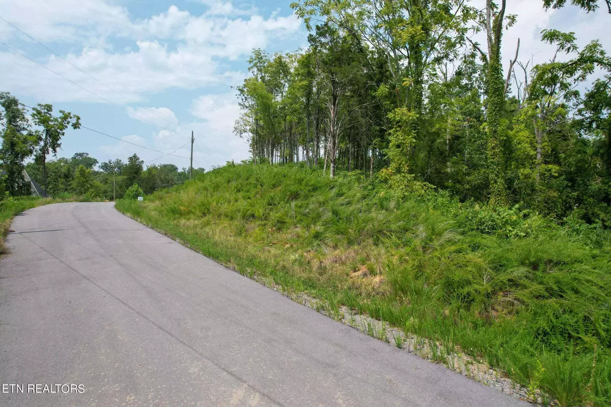 Dandridge, TN 37725,Lot 75 Clear Point Tr