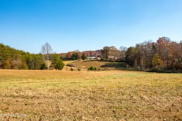 Tellico Plains, TN 37385,3865 Ballplay Rd