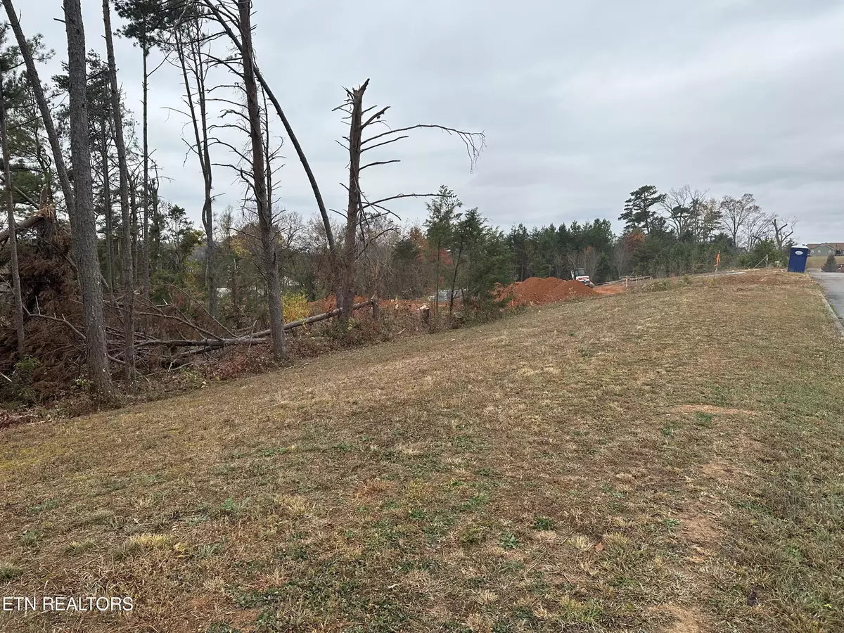 Dandridge, TN 37725,Eagle Claw Lane Lot 32