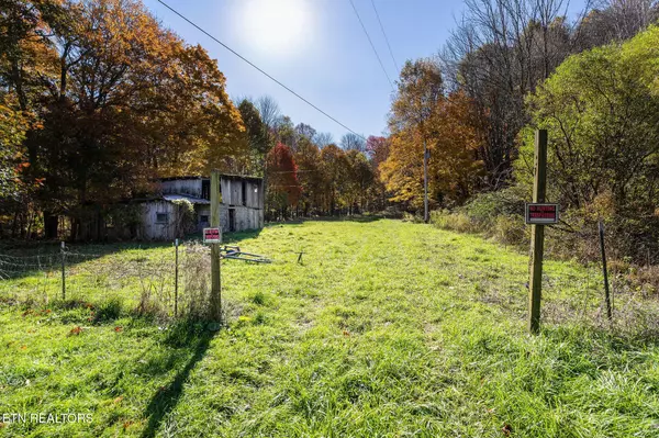 Roan Mountain, TN 37687,140 Doe LN