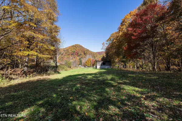 Roan Mountain, TN 37687,140 Doe LN