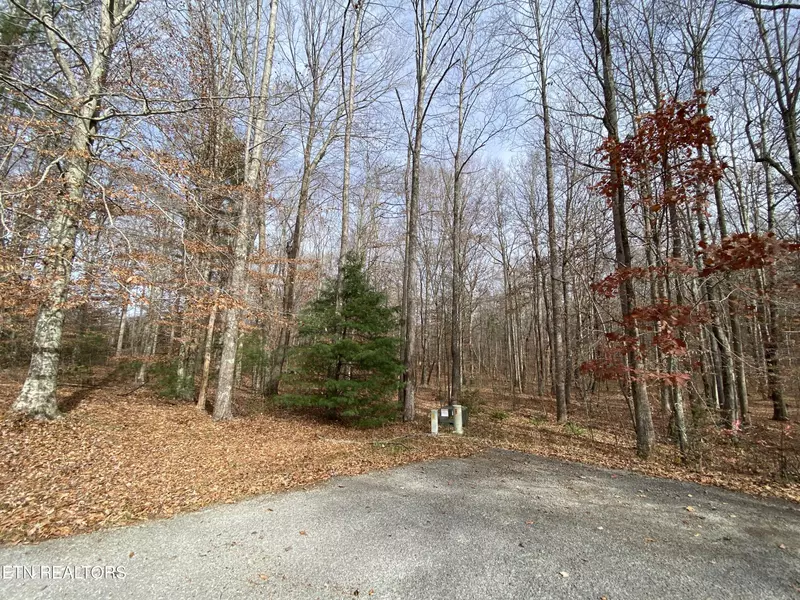 Lot 15 & 16 Evergreen DR, Oneida, TN 37841